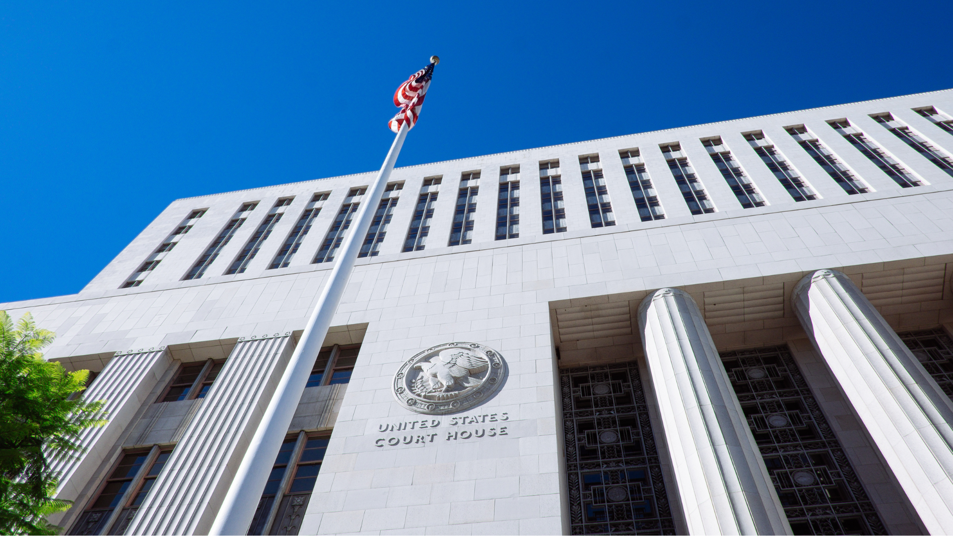 Professional process server delivering legal documents